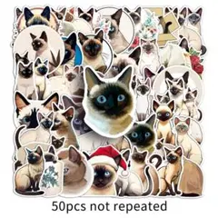 Item thumbnail for item cee5b159-7943-4a3c-bad6-28156f115416
