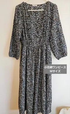 Item thumbnail for item c8322a0d-020a-41a2-afa0-e851eeb77b55