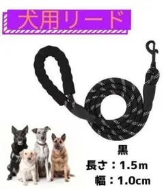 Item thumbnail for item 99953cef-f68a-4e2a-893e-cb62e02928a1