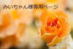 みいちゃん様専用ページです。