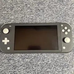 Nintendo Switch LITE グレーライト