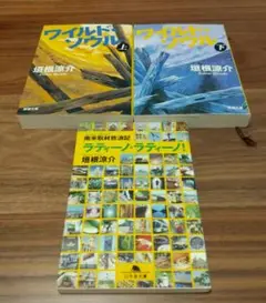 垣根涼介 3冊セット 【南米】