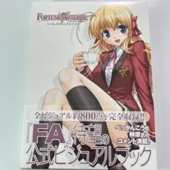 フォーチュンアテリアル　パーフェクトビジュアルブック