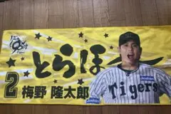 阪神タイガース 応援タオル 2 番
