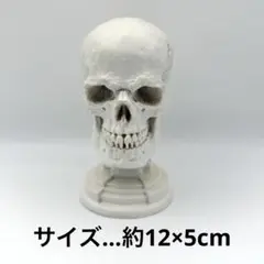 人体　骸骨　ドクロ　置き物
