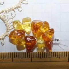 バルティックアンバー　タンブル　1258