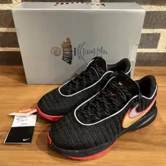 ナイキ NIKE LEBRON XX EP レブロン20 バッシュ