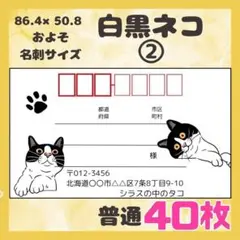 【白黒ネコ②】宛名シール　差出人シール　普通サイズ　40枚　シンプル　動物　ネコ