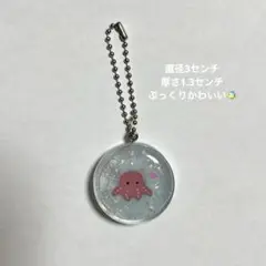蓄光水族館チャーム メンダコ