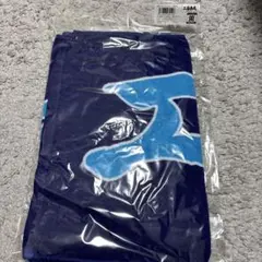 阪神タイガース 工藤泰成