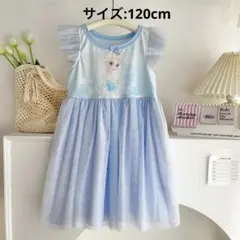 2025年、新品新作！アナと雪の女王 エルサ プリンセス、ワンピース、ドレス
