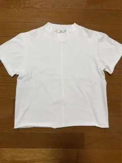 the row Tシャツ 美品