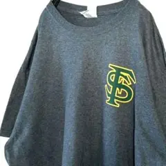ギルダン TS ライオン プライド Tシャツ XL グレー 灰色 古着