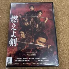 燃えよ剣　DVD 岡田准一　柴咲コウ　鈴木亮平