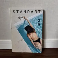 STANDART 29