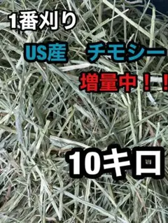 「A♡M様専用」チモシー10キロ ウサギなど小動物のエサ