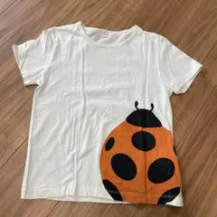 無印良品　良品企画　テントウムシプリント Tシャツ 130サイズ