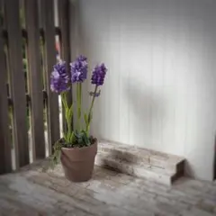 Item thumbnail for item 787550a9-393d-4667-b5f9-1b88d6aadae0