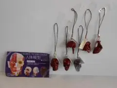 Item thumbnail for item ff1f5c39-6190-4f70-aafd-5d7b8ca4a9ca