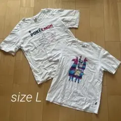 Item thumbnail for item a7a7048a-608d-43af-a0c0-a620c5c1b8de