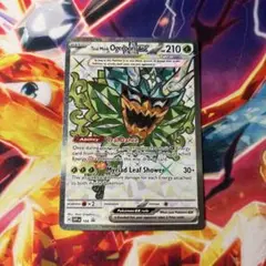 ポケモンカードゲーム オーガポン みどりのめんex 英語 SR プロモ