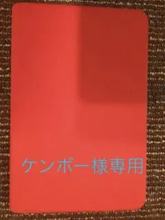 iPad mini4専用カバー