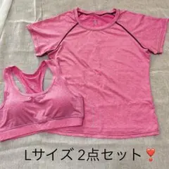Lサイズ ヨガ・ピラティスウェアTシャツ ・ブラトップ 2点セット