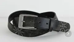 Item thumbnail for item 37ac104c-ae8b-49a6-8353-da55f6ed2aac