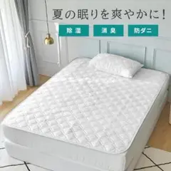セミダブル 除湿消臭敷パッドき（快眠タイムズ）