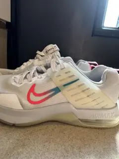 NIKE Air Max 26センチ