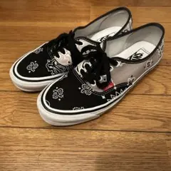 VANS vault bedwin コラボ　オーセンティック