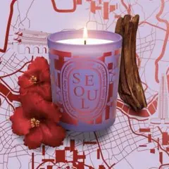 2025年最新】diptyque キャンドル ソウルの人気アイテム - メルカリ