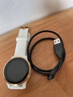 GARMIN VIVOACTIVE4S 　充電器ケーブル付き