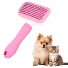 Item thumbnail for item 42ee1d1c-769f-4866-ba3e-3d144fb96e8b