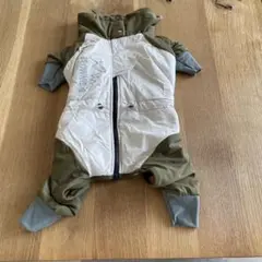 Item thumbnail for item 44cb132f-de1a-47d5-a610-269302882b90