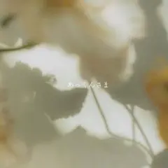 あっくんさま専用ページ