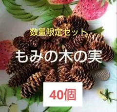 松ぼっくり 20個 ×2セット 40個お得セット 数量限定❤️