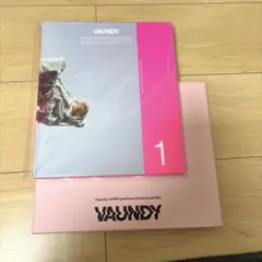 バウンディ VAUNDY VAWS プレミアムフォトブック #01 新品未開封