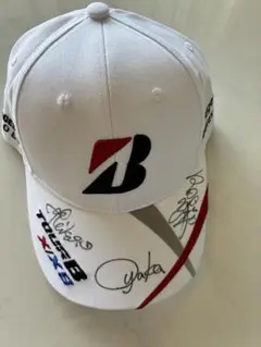 Item thumbnail for item 87130a7d-414a-4e0a-9110-ce5c40ccf006