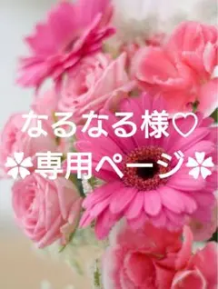 なるなる様♡専用ページ.。.:*♡✿ฺ