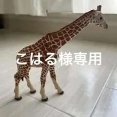 リアルなキリンのおもちゃ・置物
