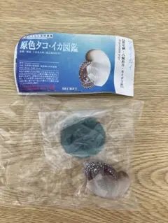 ♯Fui29KZ原色タコ・イカ図鑑シークレット入人気5種 ガシャポン 立体カプセル百科事典 原色タコ・イカ図鑑｜商品情報｜タカラ