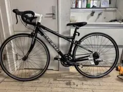 上質紙　LOUIS GARNEAU CR07　直接引取限定 LOUIS GARNEAU / ルイガノ製品紹介 / LGS-CR07