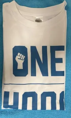 京都ハンナリーズ 白Tシャツ