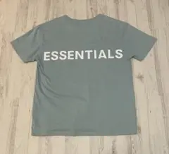 ESSENTIALS Tシャツ　Sサイズ　バックロゴ ミントグリーン
