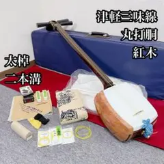 Item thumbnail for item 3b4c1057-9232-4907-b166-eb3bd219964e