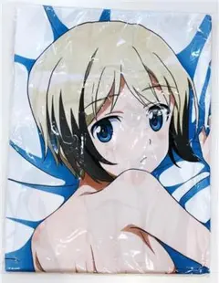 ★【未開封】 ストライクウィッチーズ 抱き枕カバー エーリカ