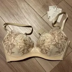 ワコール ワコールスハダワン　ブラジャー　ブラ　C65