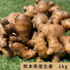 【訳あり】熊本県産生姜 1kg