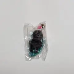 【新品・匿名配送】シルバニア　キラキラくじ　モグラの赤ちゃん